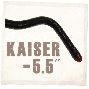 KAISER(카이젤) 5.5&quot; *,돈키호테피싱